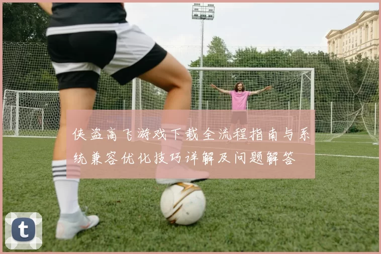 侠盗高飞游戏下载全流程指南与系统兼容优化技巧详解及问题解答