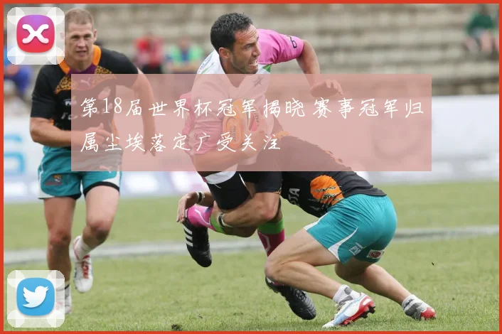 第18届世界杯冠军揭晓 赛事冠军归属尘埃落定广受关注